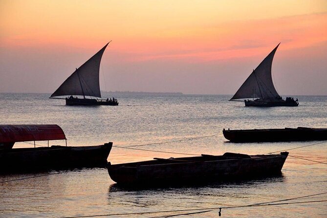 Tanzania Safari and Kilimanjaro Climb Multi-Day Experience - Key highlights you should know