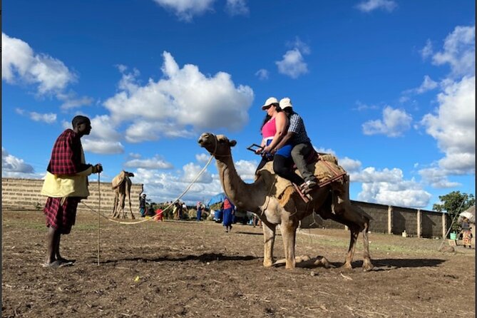 Tanzania Safari and Kilimanjaro Climb Multi-Day Experience - Ngorongoro Crater and the Olduvai Gorge option