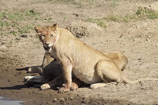Tanzania Safari Join Group - Price and value: what the $1,538.47 really covers