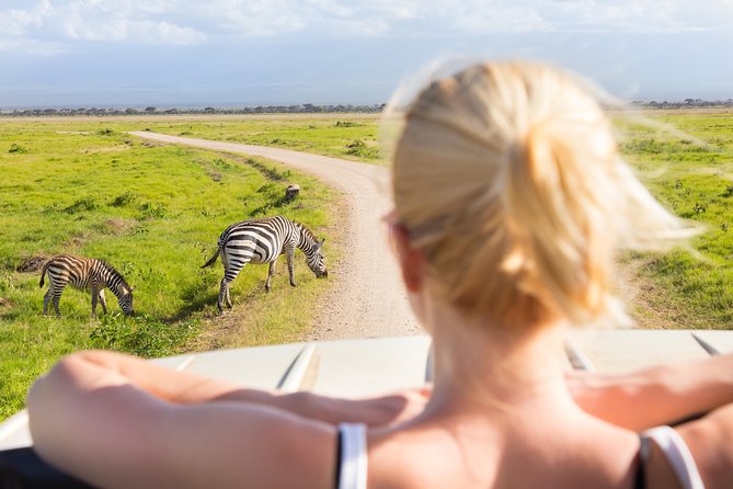 Tanzania Simba Safari - 5 Days - Day 4: Serengeti Early Light, Then Ngorongoro Crater Country