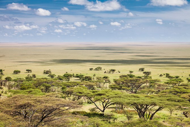 Tanzania Through The Rift Valley - 5 Days - Lake Manyara safari time: plains, acacia woodland, and an alkaline lake