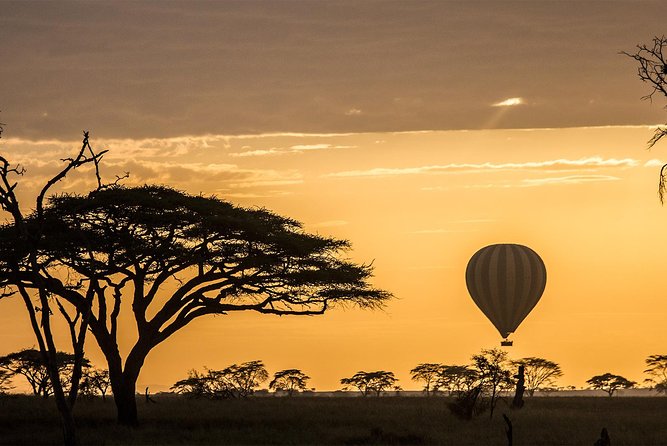 Tanzania wildlife & Cultural Safari- 11days - Key points before you go