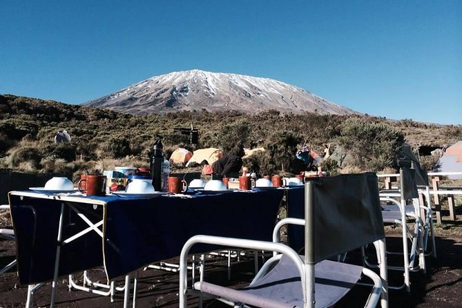 Tanzania wildlife & Cultural Safari- 11days - Neza Safaris setup: pickup, mobile ticket, and guided days