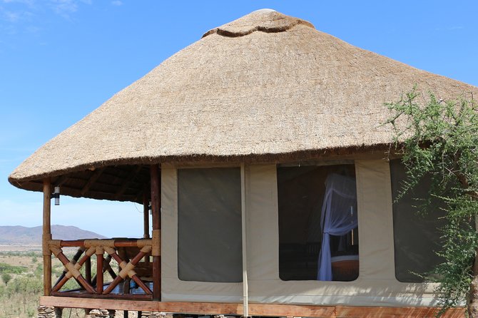 Tanzania wildlife & Cultural Safari- 11days - Ngorongoro Crater: a concentration of wildlife time