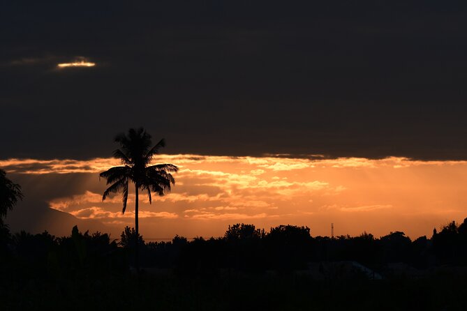 Tanzania Wildlife Cultural Safari from Arusha. - Key Highlights You’ll Care About