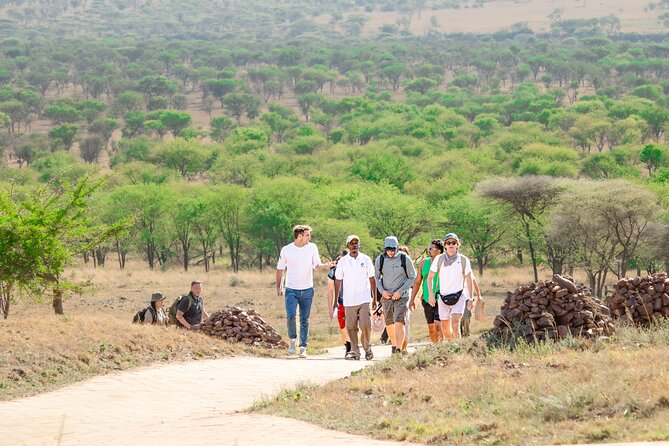 Tanzania Wildlife Encounters - 6 Days - Serengeti: two long drive days and the value of expert spotting