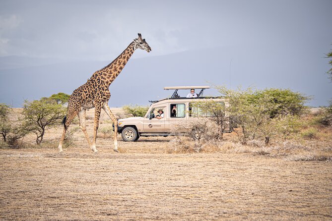 Tanzania Wildlife Encounters - 6 Days - Your guide can make or break the safari