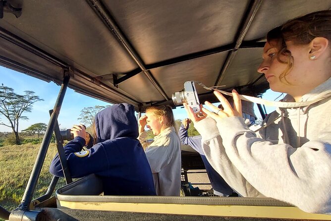 Tanzania Wildlife Safari Budget Camping - Day 4 in Serengeti: early morning drive and the chance for dramatic hunting