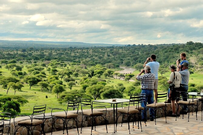 Tarangire Budget Full Day Tour from Arusha - Getting the Best Sightings: Practical Safari Habits That Pay Off
