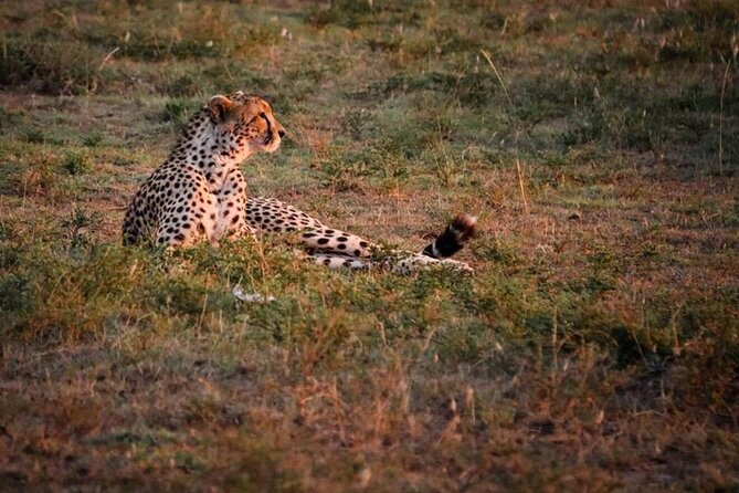 Tarangire National Park Day Trip - What to Pack for Tarangire and a Long Wildlife Day