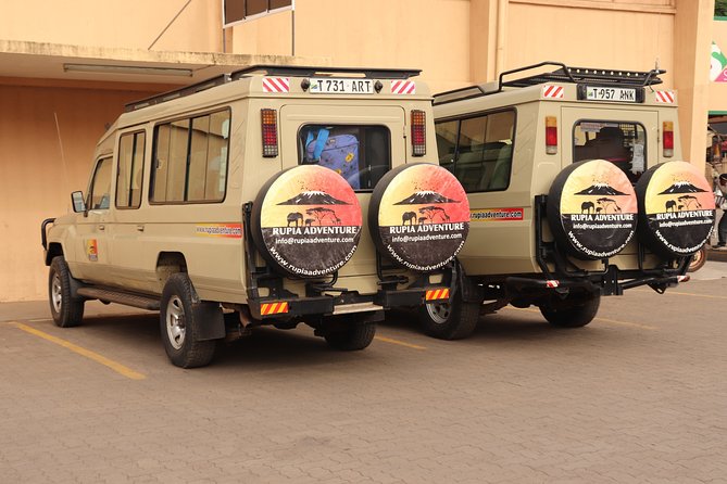 Tarangire National Park Day Trip - What the Day Feels Like: Timing, Lunchboxes, and Water
