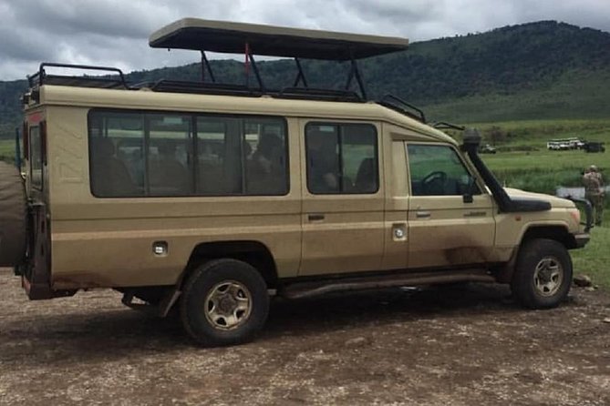 tarangire & ngorongoro 2 days tour - Transport and timing: where you gain time, and where you lose it
