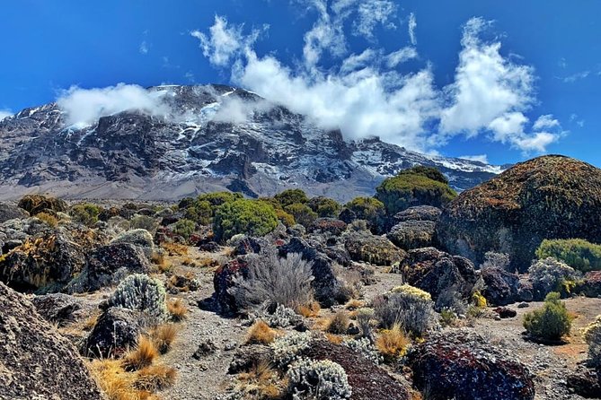 The 6 Days Kilimanjaro Climbing Tour via Machame Route in 2025/26 - Machame Route for 6 days: why you’ll feel the altitude early