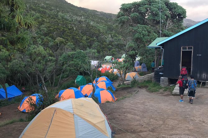 The 6 Days Kilimanjaro Climbing Tour via Machame Route in 2025/26 - Day 5 midnight start and Stella Point sunrise: the mental and physical peak