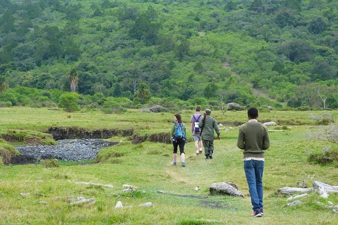 The Amaizing Private Day Trip to the lovely Arusha National Park - Game drive first: giraffes, antelopes, zebras, and the Momela Lakes pull