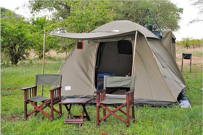 The Best 3Days Start from Mwanza to Serengeti' through Viator - Day 1 in Serengeti: lunch first, then your first real game drive