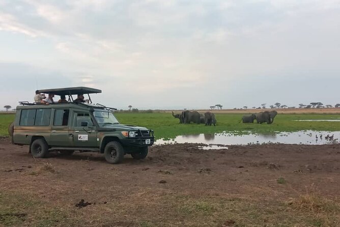 The Best 3Days Start from Mwanza to Serengeti' through Viator - Value and price reality: what $1,611.33 includes, and what to budget