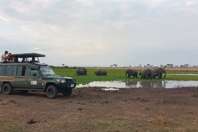 The Best 3Days Start from Mwanza to Serengeti' through Viator - Private safari comfort: guides, schedules, and how to make it work
