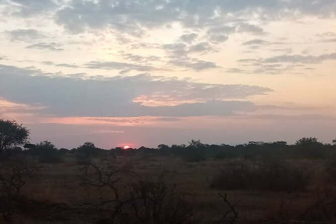 The Best 3Days Start from Mwanza to Serengeti' through Viator - Who should book this Mwanza to Serengeti safari, and who should reconsider
