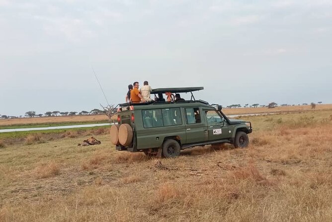The Best 3Days Start from Mwanza to Serengeti' through Viator - Should you book it: my practical recommendation