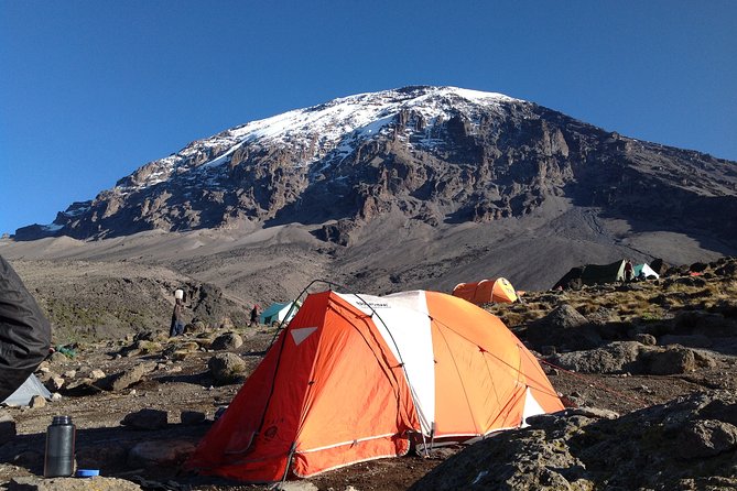The best 6-Days Kilimanjaro hiking (Machame route)whiskey route - Day 6, From Mweka Bivouac Down Through Forest to Mweka Gate