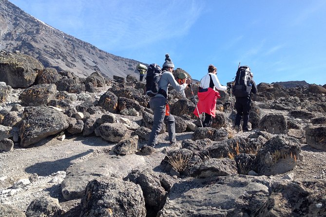 The best 6-Days Kilimanjaro hiking (Machame route)whiskey route - Day 1, Machame Gate to Machame Hut: Forest Breathing and First Views