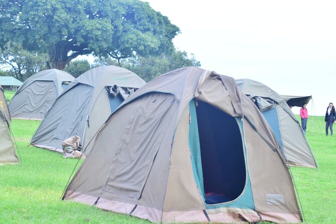 The Best and Most Affordable 4-Day Tanzania Budget Private Safari - Day 3: Ngorongoro descent, the Big Five focus, and crater rim views