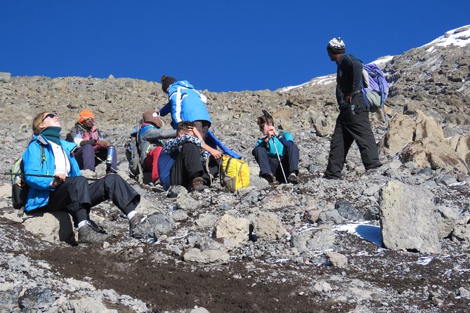 The Best of Machame Route in 6 Days: Your World's Summit Guide - Day 3: Lava Tower (Shark’s Tooth) and the acclimatization pivot