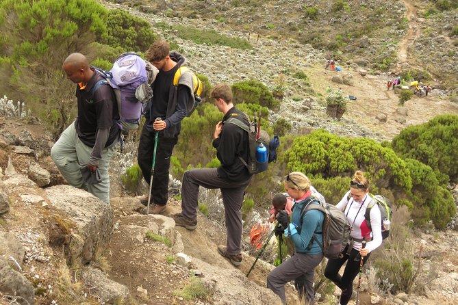The Best & Unique Kilimanjaro Hiking tour 7 days Machame route - Day 1 to 2: Machame Gate to Shira 2 Through Rainforest and Heath
