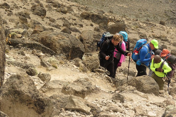 The Best & Unique Kilimanjaro Hiking tour 7 days Machame route - Day 7: Mweka Camp to Mweka Gate, Finishing Strong