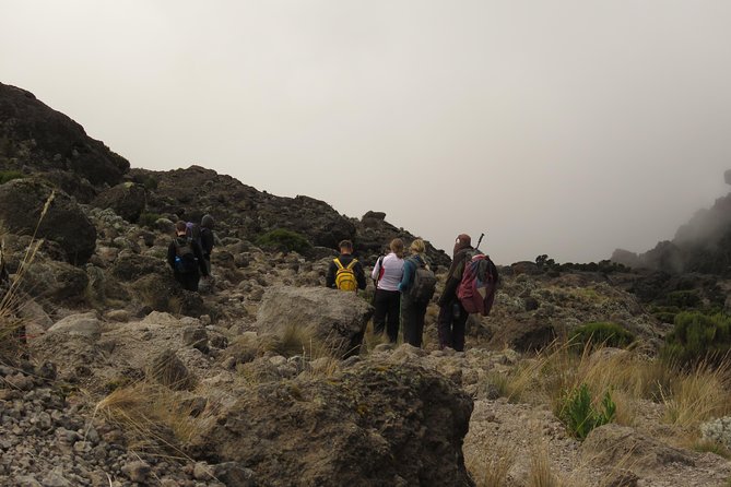 The Best & Unique Kilimanjaro Hiking tour 7 days Machame route - Food, Camping Gear, and the Comfort You Get in Real Terms
