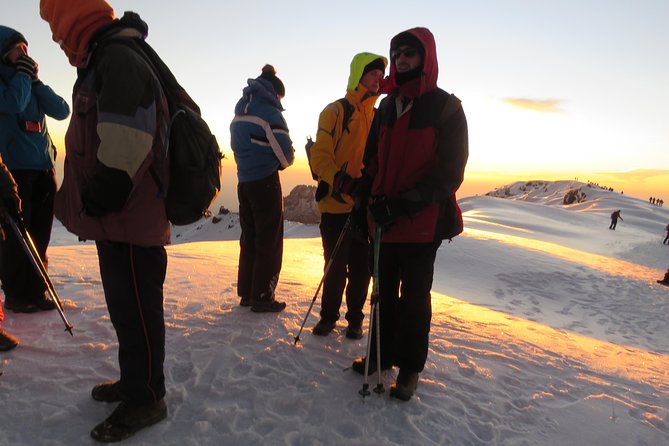The Best & Unique Kilimanjaro Hiking tour 7 days Machame route - Moshi Pickup, Mobile Ticket, and How the Logistics Actually Feel