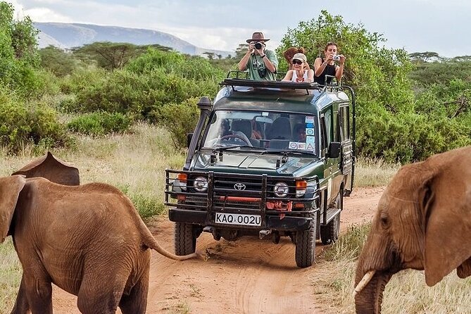 The Top Rated 6-Day Serengeti Budget Camping Safari in Tanzania - Arusha to Tarangire National Park: Picnic Lunch and Elephant Territory