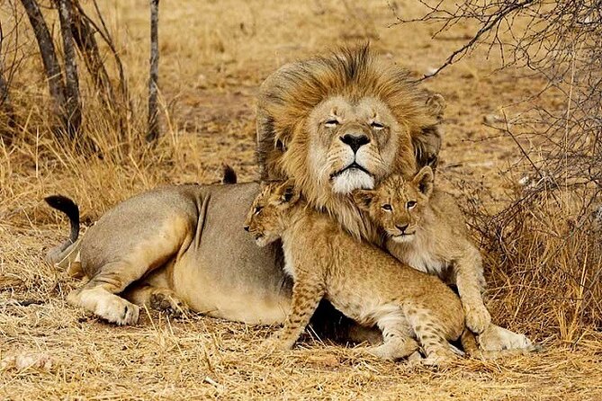 The Top Rated 6-Day Serengeti Budget Camping Safari in Tanzania - Price and Value: What You Pay for at $1,539 Per Person
