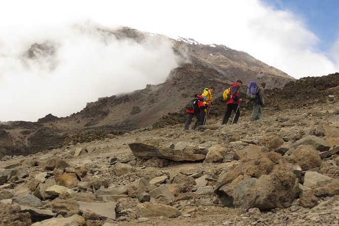 The Ultimate 8-day Lemosho route Climbing Kilimanjaro - Lava Tower and Barranco Wall: when the trek starts to feel real