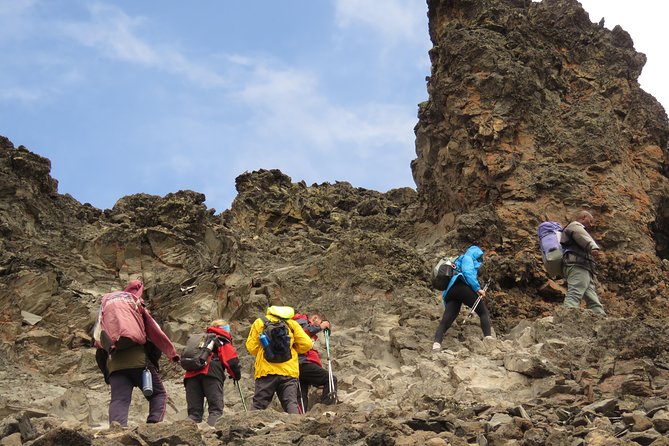 The Ultimate 8-day Lemosho route Climbing Kilimanjaro - Summit day on Day 7, then the relief of descending to Mweka