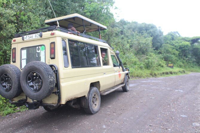 Tour at Arusha National Park - What the picnic lunch inside the park really changes