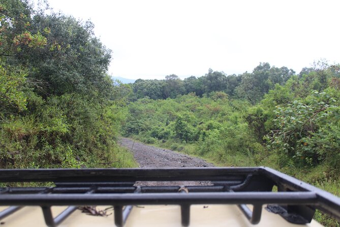 Tour at Arusha National Park - Morning game drive: Momela Lakes, color, and spotting strategy