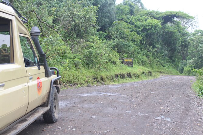 Tour at Arusha National Park - Afternoon game drive: Ngurdoto Crater and a second look at animals
