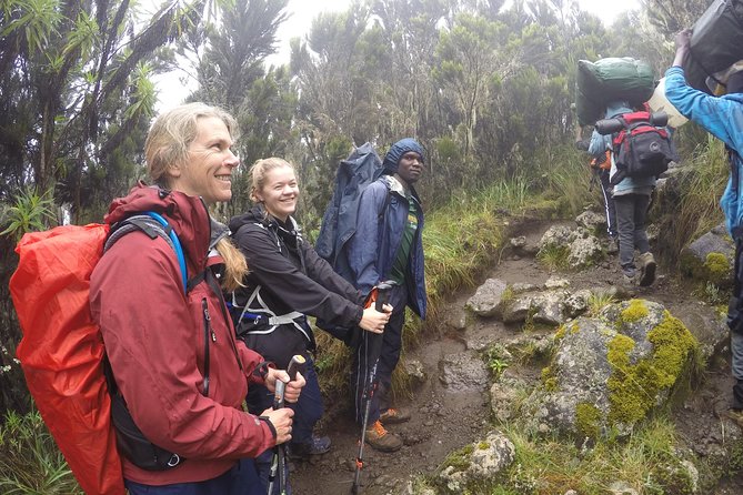Trek To Mount Kilimanjaro - Lemosho on a tight timeline from Moshi