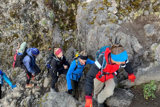 Trek To Mount Kilimanjaro - Day 1: Kilimanjaro National Park, first big impressions