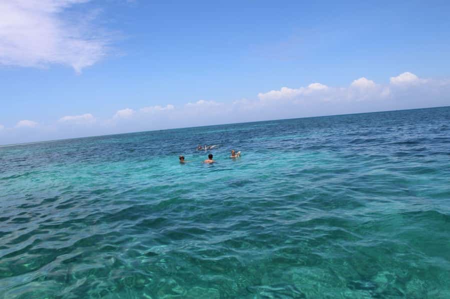 Tumbatu island snorkling tour : from Kendwa & Nungwi - Key highlights worth knowing before you go