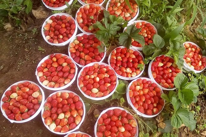 Uluguru mountain overnight 2 nights 3 days - Day 3: A morning hike back to Morogoro town