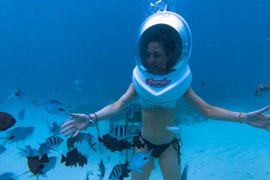 Underwater Walking Experience in Zanzibar,No Swimming Needed - The underwater scene: fish, corals, and that table-and-chair moment