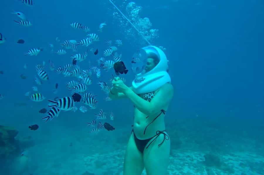 Underwater Walking Experience in Zanzibar,No Swimming Needed - Guides and photo coverage: how you get memories without fuss