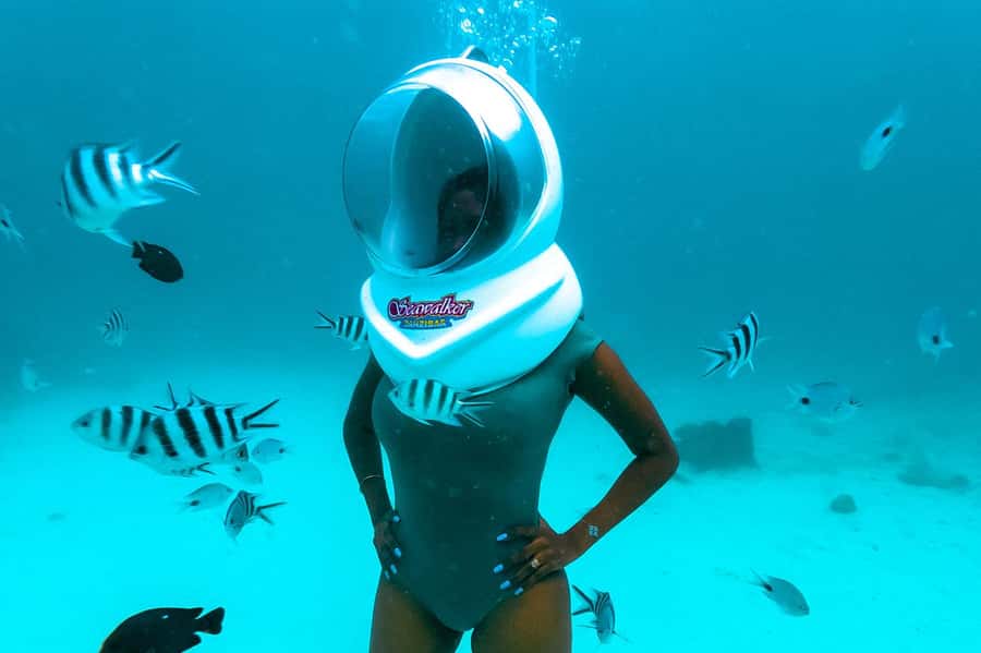 Underwater Walking Experience in Zanzibar,No Swimming Needed - Rules that keep it safe and reef-friendly