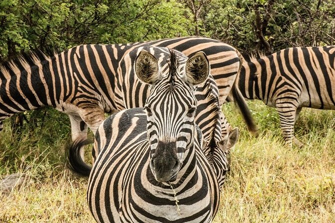 Unforgettable 5 days Tanzania Private Budget Camping safari - Price and what $2,088 really buys