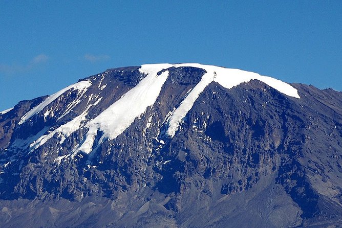 Unforgettable 8 Days Lemosho Route Trekking on Kilimanjaro - Day 3: Plateau acclimatization on Shira Camp Two, with a steadier feel