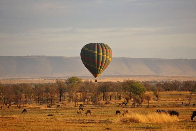 Unforgettable Tanzania Safari And Zanzibar Beach - Why This 12-Day Tanzania Safari Feels Like Two Trips, Done Right