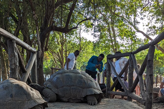 Unique private Stone Town tour & Prison Island tour in Zanzibar - Old Slave Market and the Anglican Cathedral: what you’ll actually see
